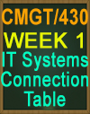 CMGT430 IT Systems Connection Table